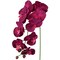 Real Touch Phalaenopsis Orchid Stem: Set of 2, 33.5-Inch by Floral Home®